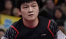 开云在线直播-日本乒乓球队横扫德国乒乓球队，樊振东制霸全场的简单介绍