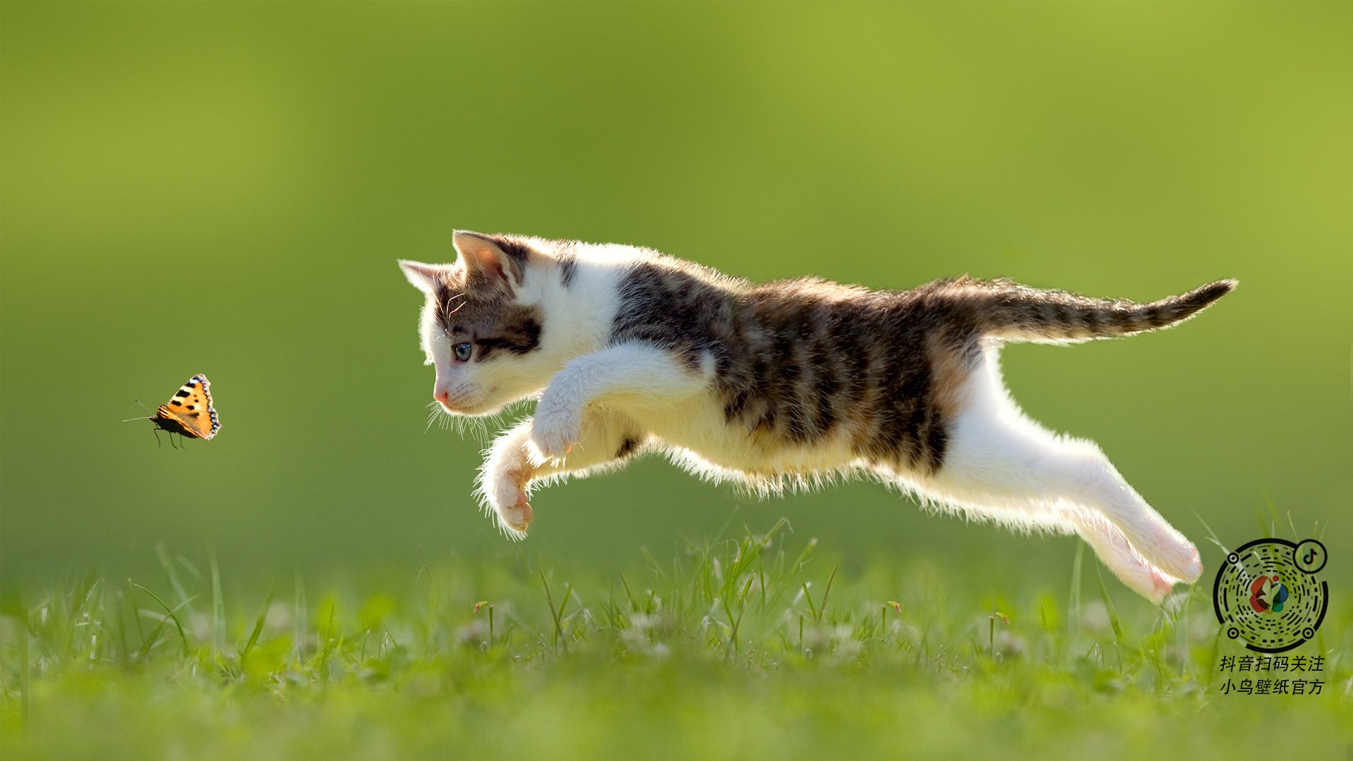 奇迹的终章，阿圭罗爆发与西班牙绝杀，一场定义时代的足球史诗