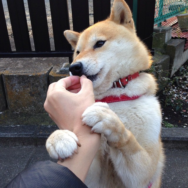 战术革新与团队韧性，格列兹曼持续制造杀伤，哥斯达黎加完胜勒沃库森的启示